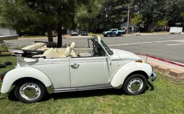 Vw-beetle-1977-1
