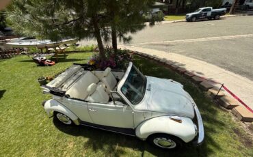 Vw-beetle-1977-10