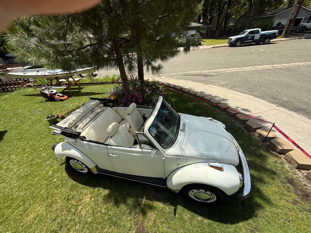 Vw-beetle-1977-10