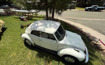 Vw-beetle-1977-11
