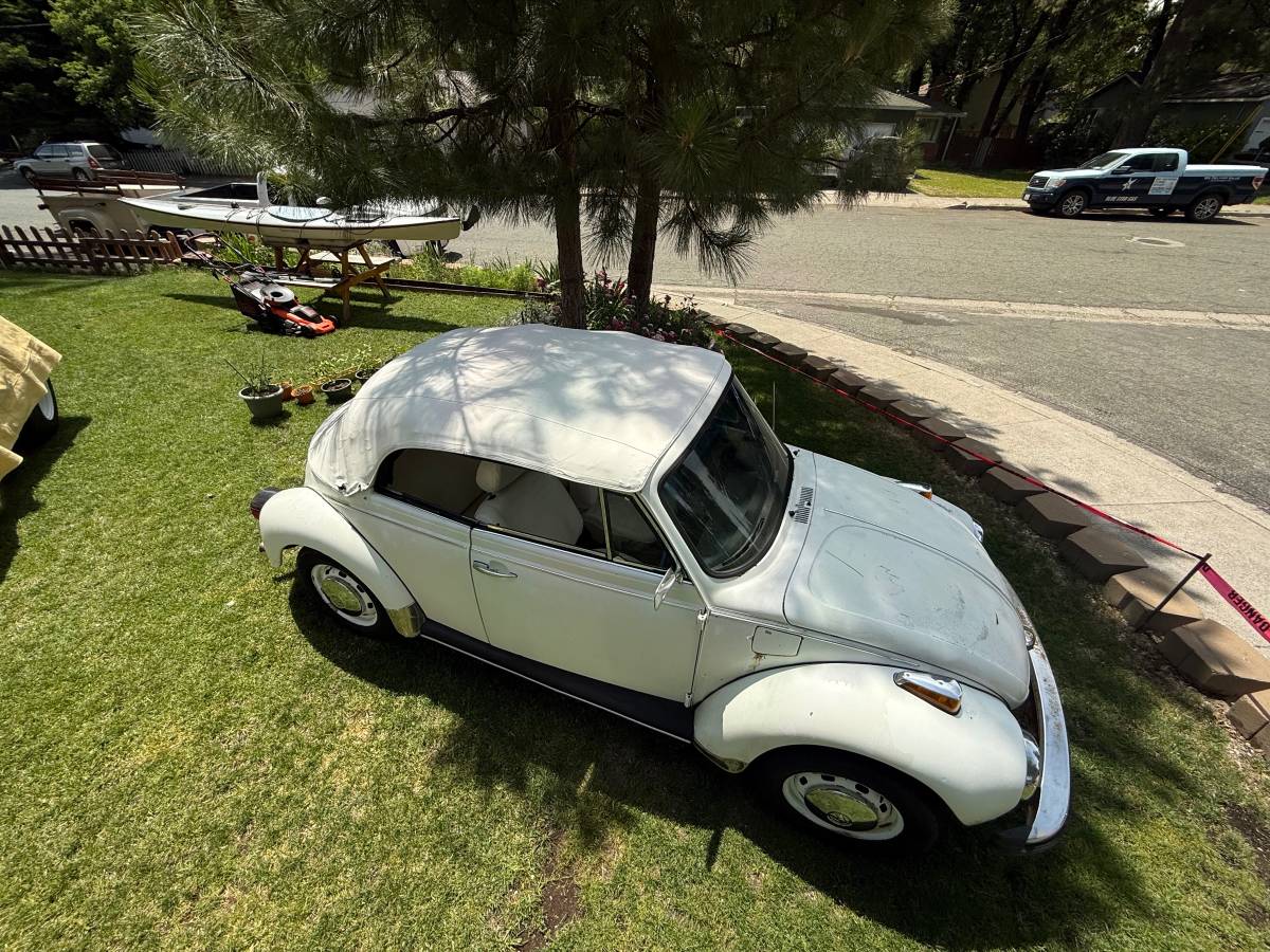Vw-beetle-1977-11
