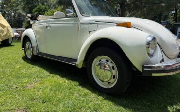 Vw-beetle-1977