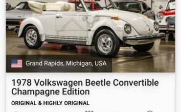 Vw-beetle-1977-6
