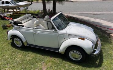 Vw-beetle-1977-7