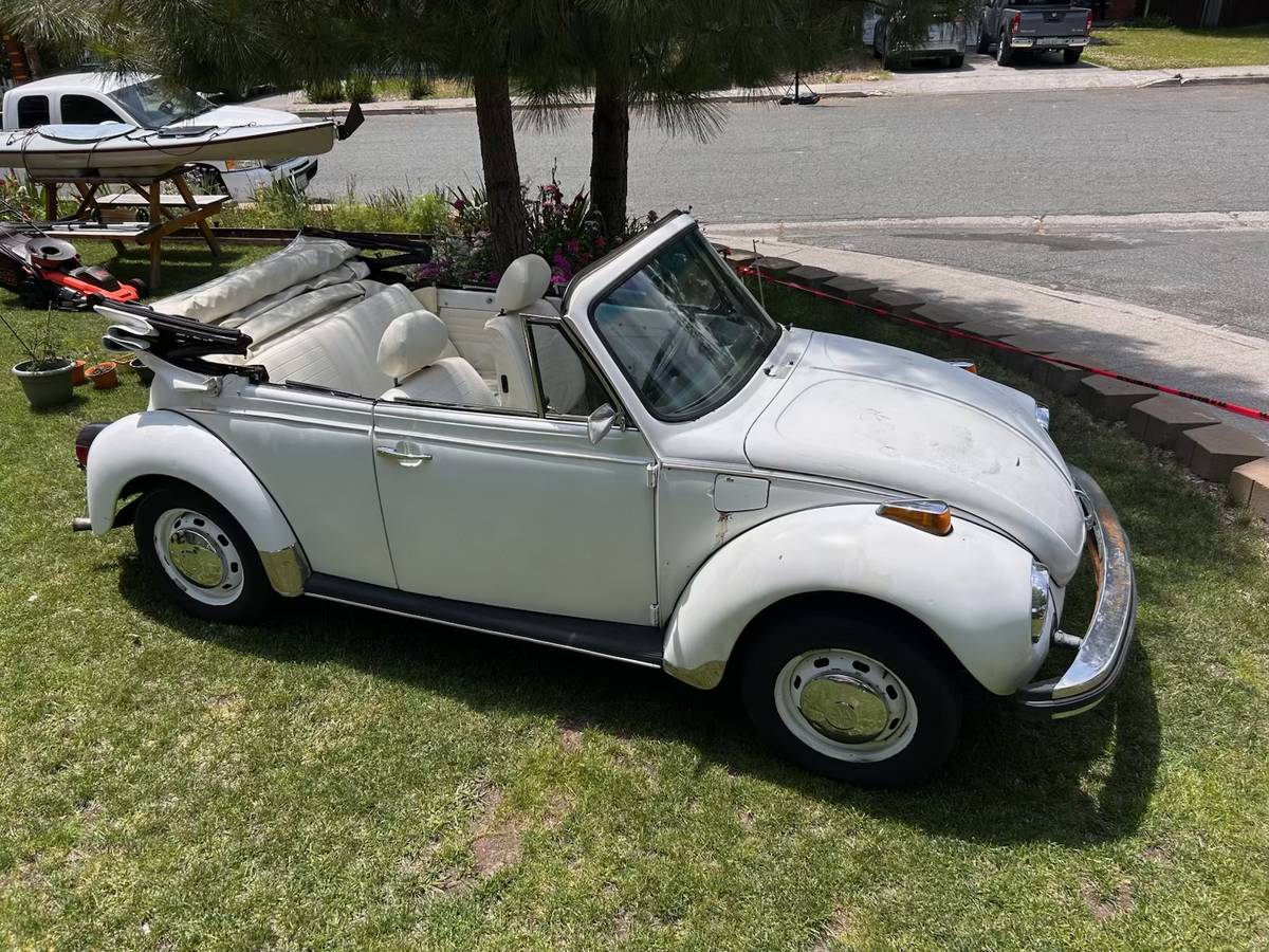 Vw-beetle-1977-7