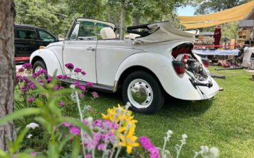 Vw-beetle-1977-8