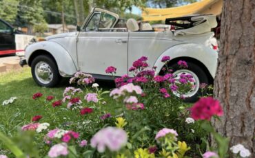 Vw-beetle-1977-9