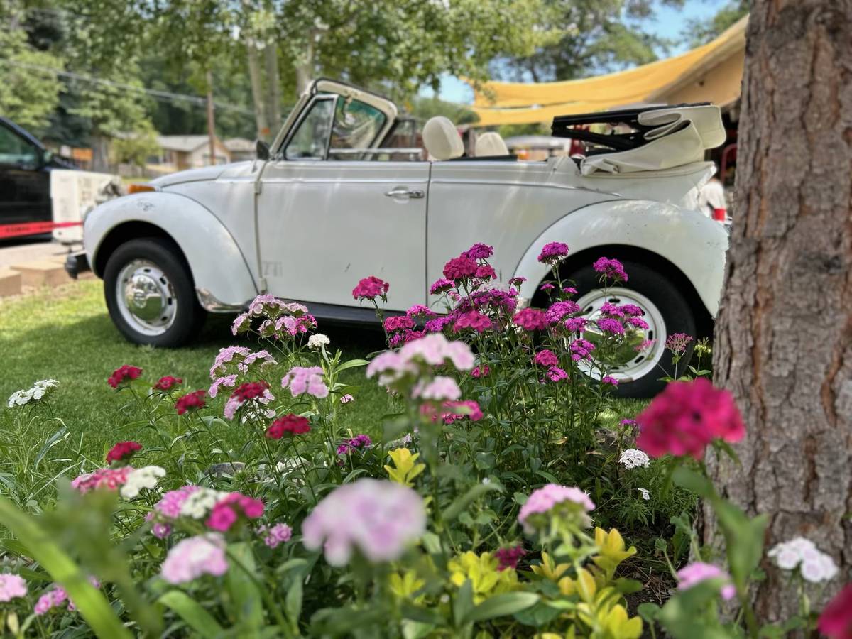 Vw-beetle-1977-9