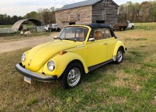 Vw-beetle-1979-11