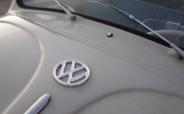 Vw-beetle-convertible-1961-custom-15