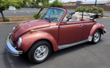 Vw-beetle-convertible-1978-custom-5