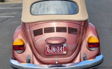 Vw-beetle-convertible-1978-custom-8