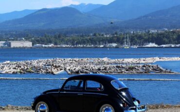 Vw-bug-1960-black-5