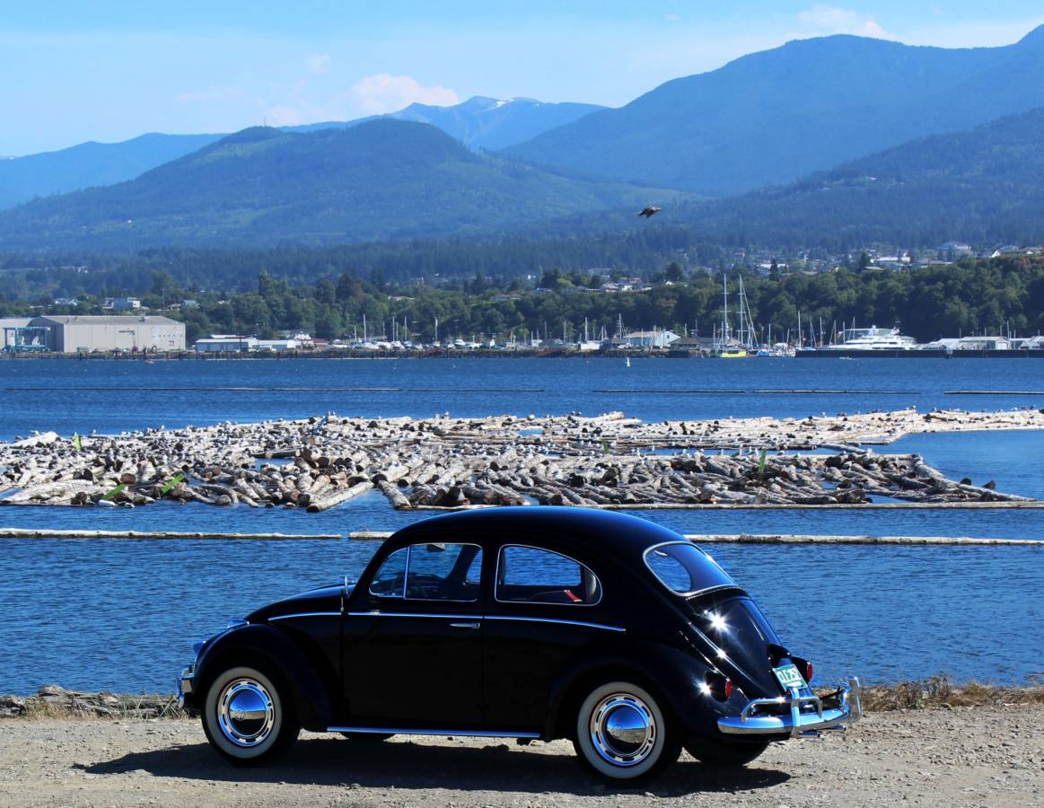 Vw-bug-1960-black-5