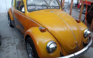 Vw-bug-1961-11