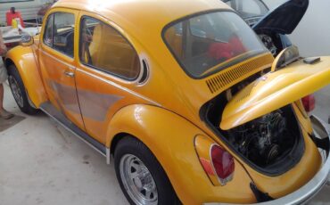 Vw-bug-1961-13