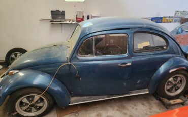 Vw-bug-1961