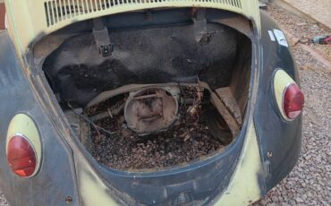 Vw-bug-1963-green-12