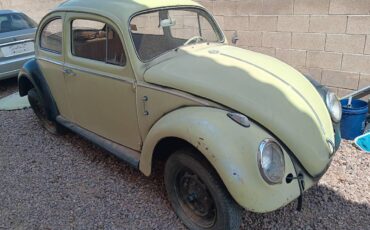 Vw-bug-1963-green-14