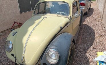 Vw-bug-1963-green-2