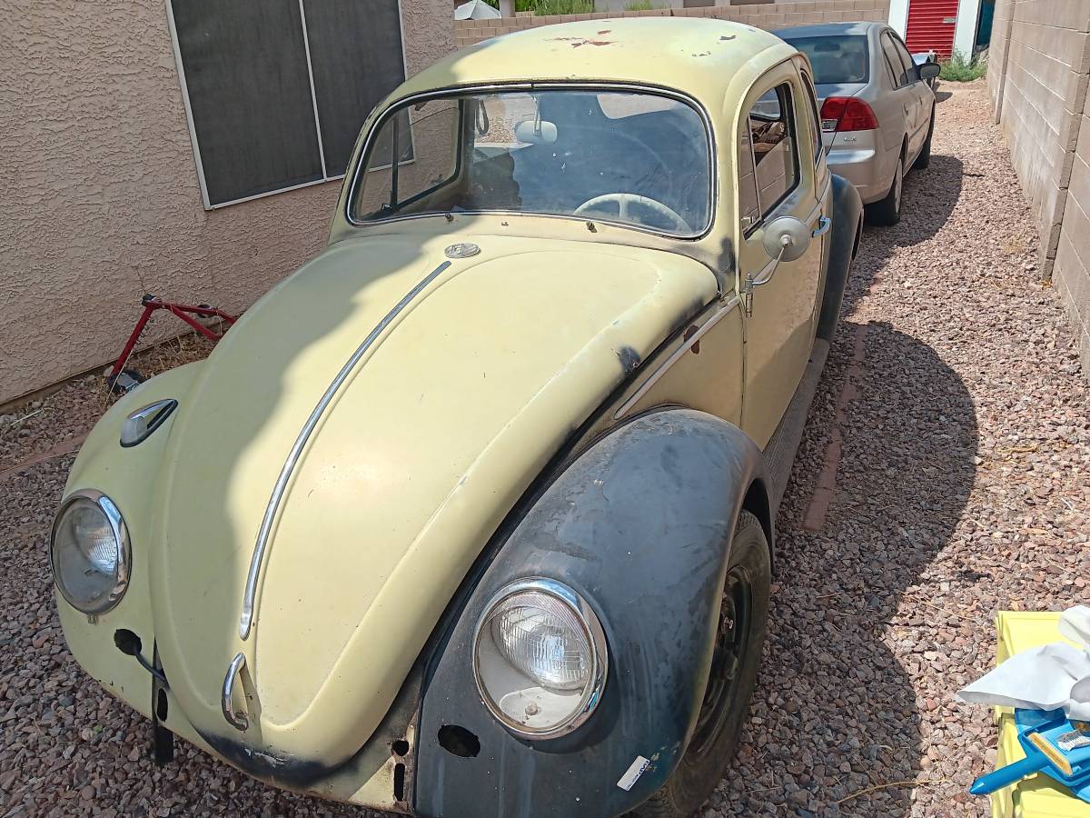 Vw-bug-1963-green-2