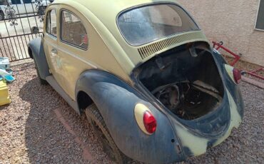 Vw-bug-1963-green-3