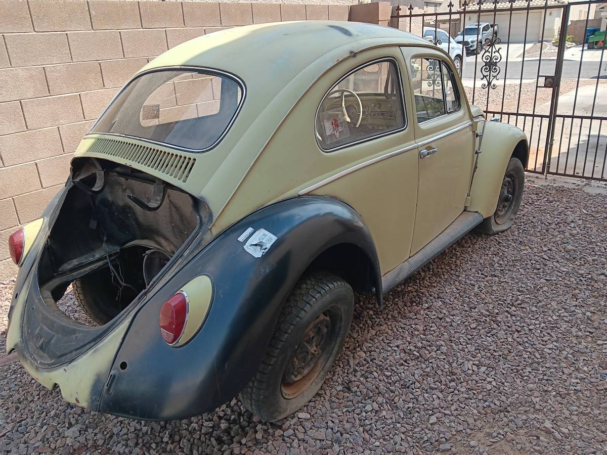 Vw-bug-1963-green-4
