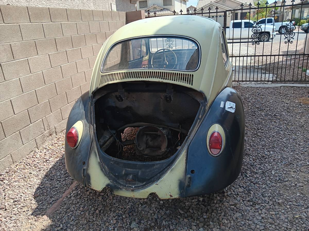 Vw-bug-1963-green-5