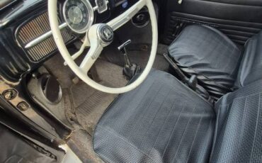 Vw-bug-1965-3