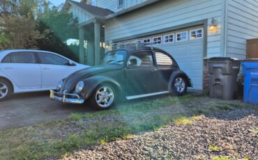 Vw-bug-1965