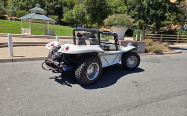 Vw-bug-1968-white-1