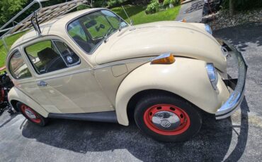 Vw-bug-1970-11