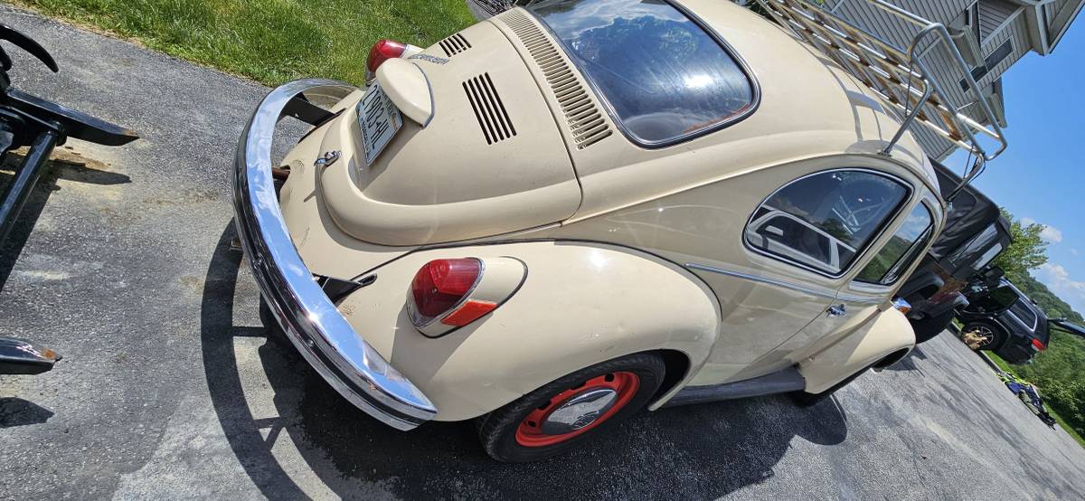 Vw-bug-1970-7