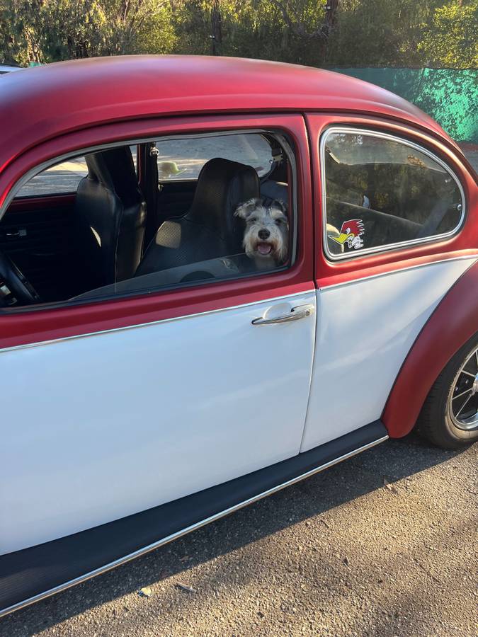 Vw-bug-1970-red-9