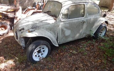 Vw-bug-1971-white