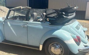 Vw-bug-1972-2