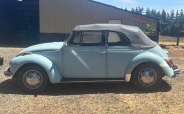 Vw-bug-1972-8