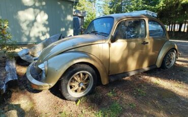 Vw-bug-1974-custom-1