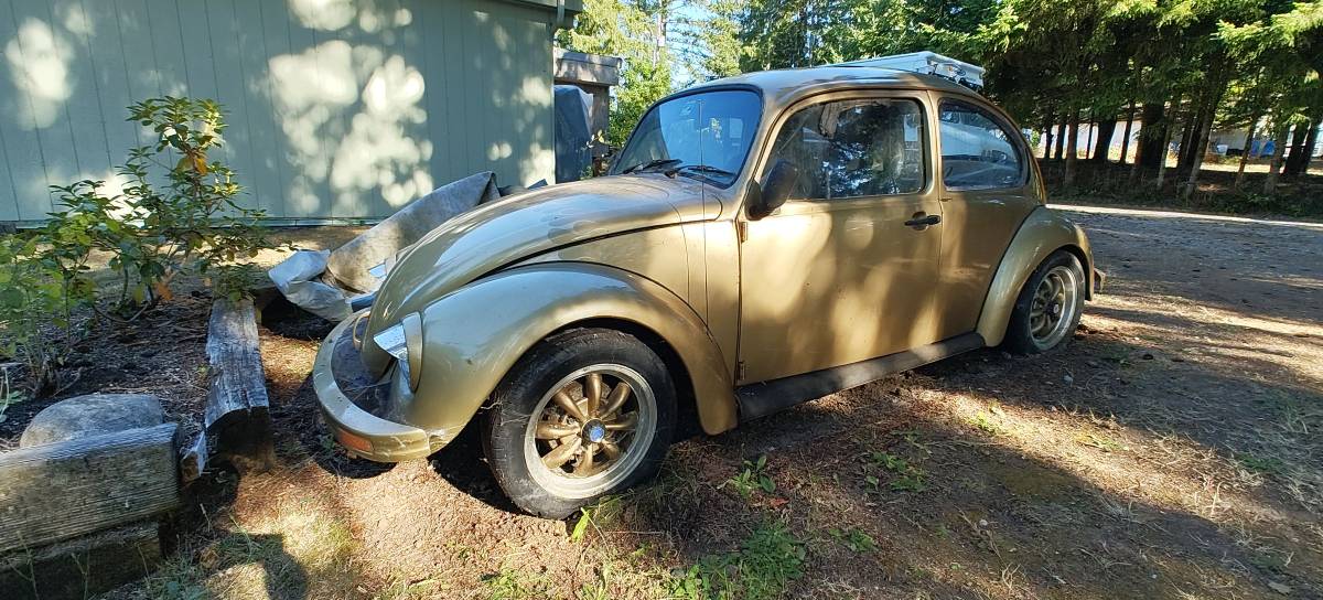 Vw-bug-1974-custom-1