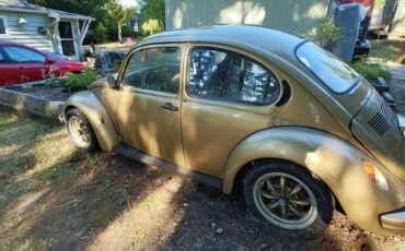 Vw-bug-1974-custom-2
