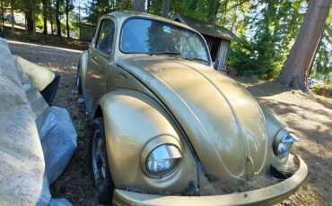 Vw-bug-1974-custom-3