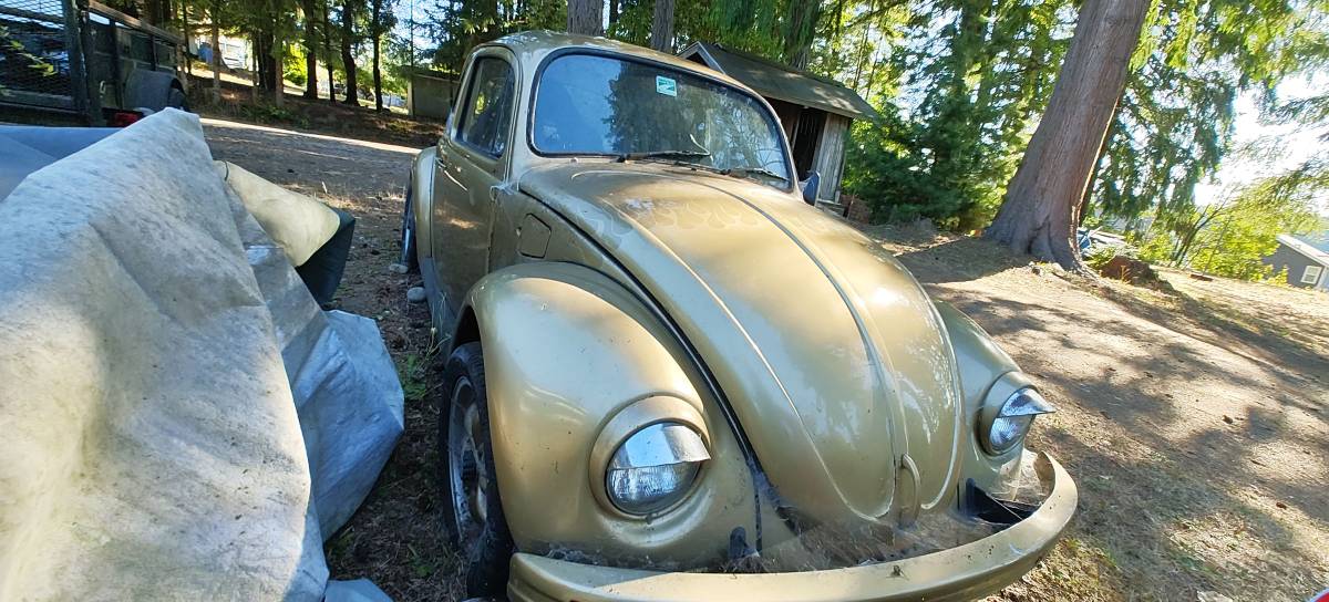 Vw-bug-1974-custom-3