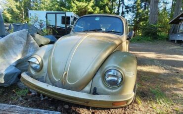 Vw-bug-1974-custom