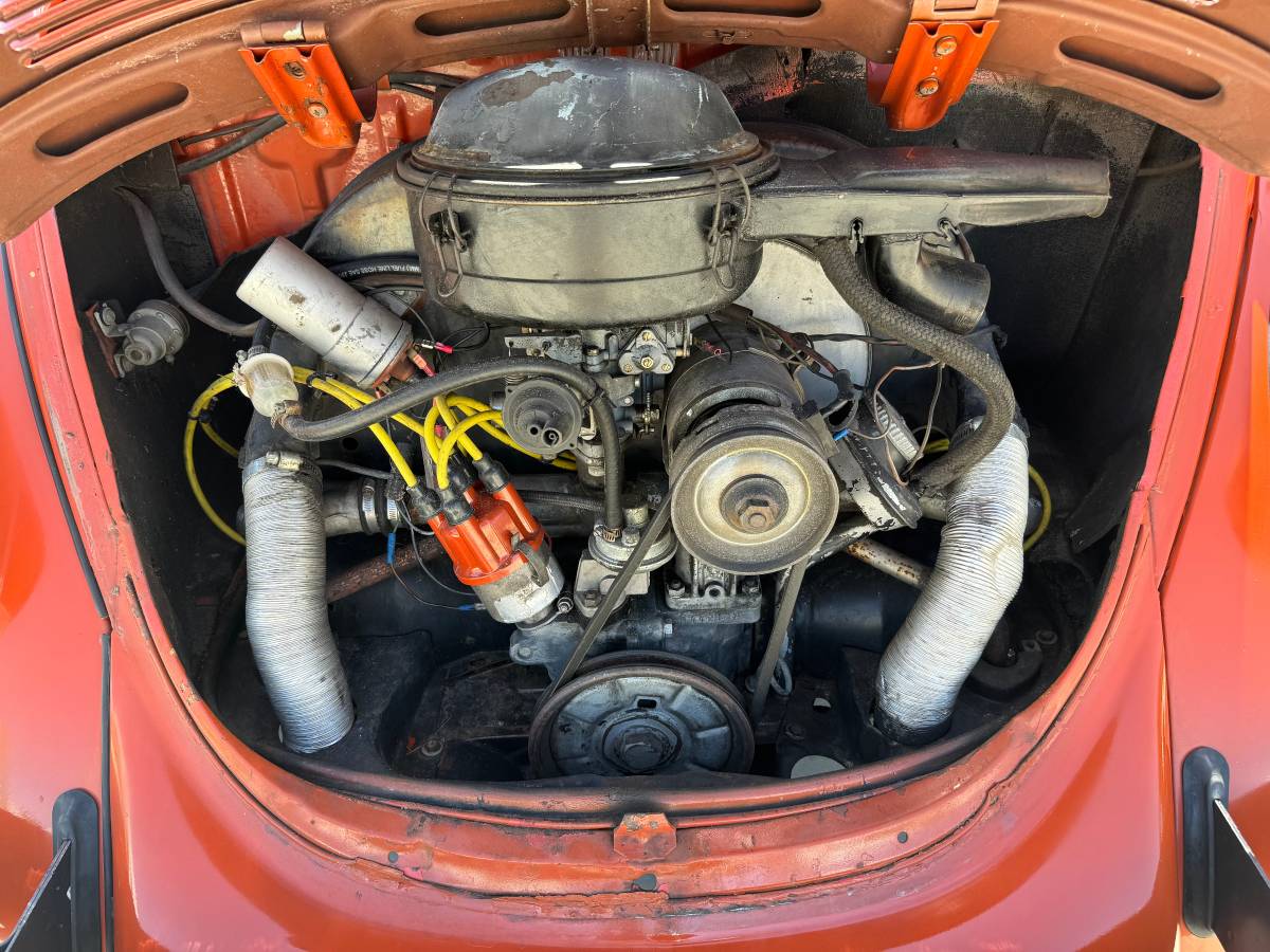 Vw-bus-and-beetle-1971-orange-10