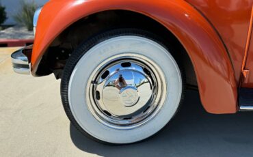 Vw-bus-and-beetle-1971-orange-14