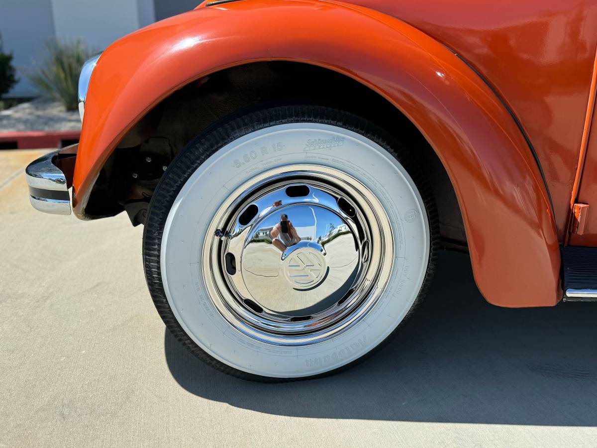 Vw-bus-and-beetle-1971-orange-14