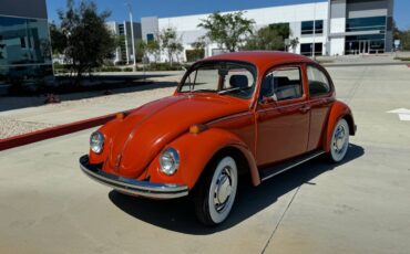 Vw-bus-and-beetle-1971-orange-15