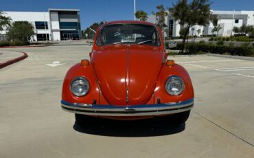 Vw-bus-and-beetle-1971-orange-16