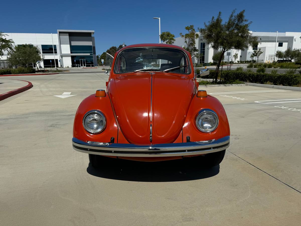 Vw-bus-and-beetle-1971-orange-16
