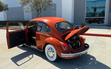 Vw-bus-and-beetle-1971-orange-18